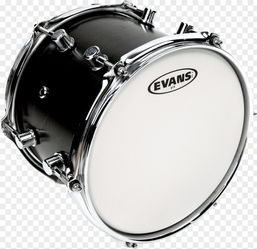 Projector Drumhead Evans Snare Drums D'Addario PNG