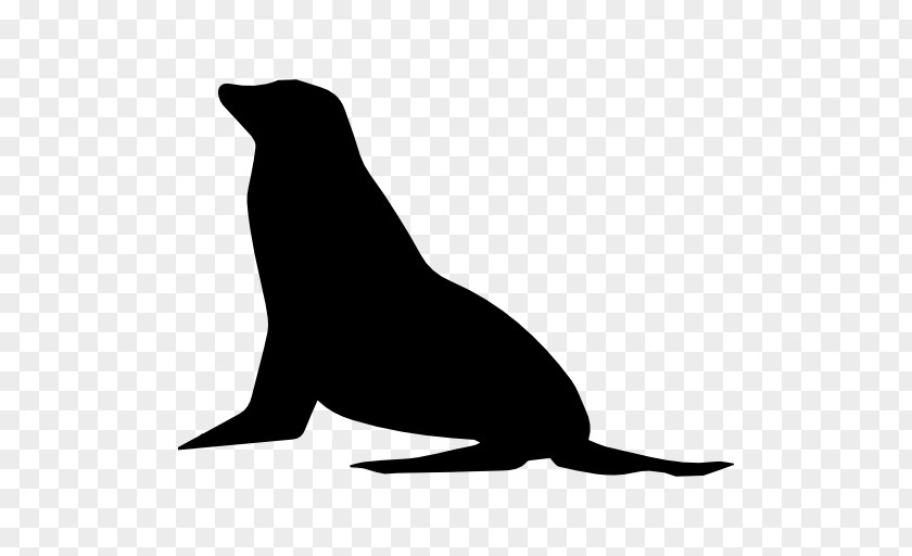 Shape Earless Seal Sea Lion Mammal PNG