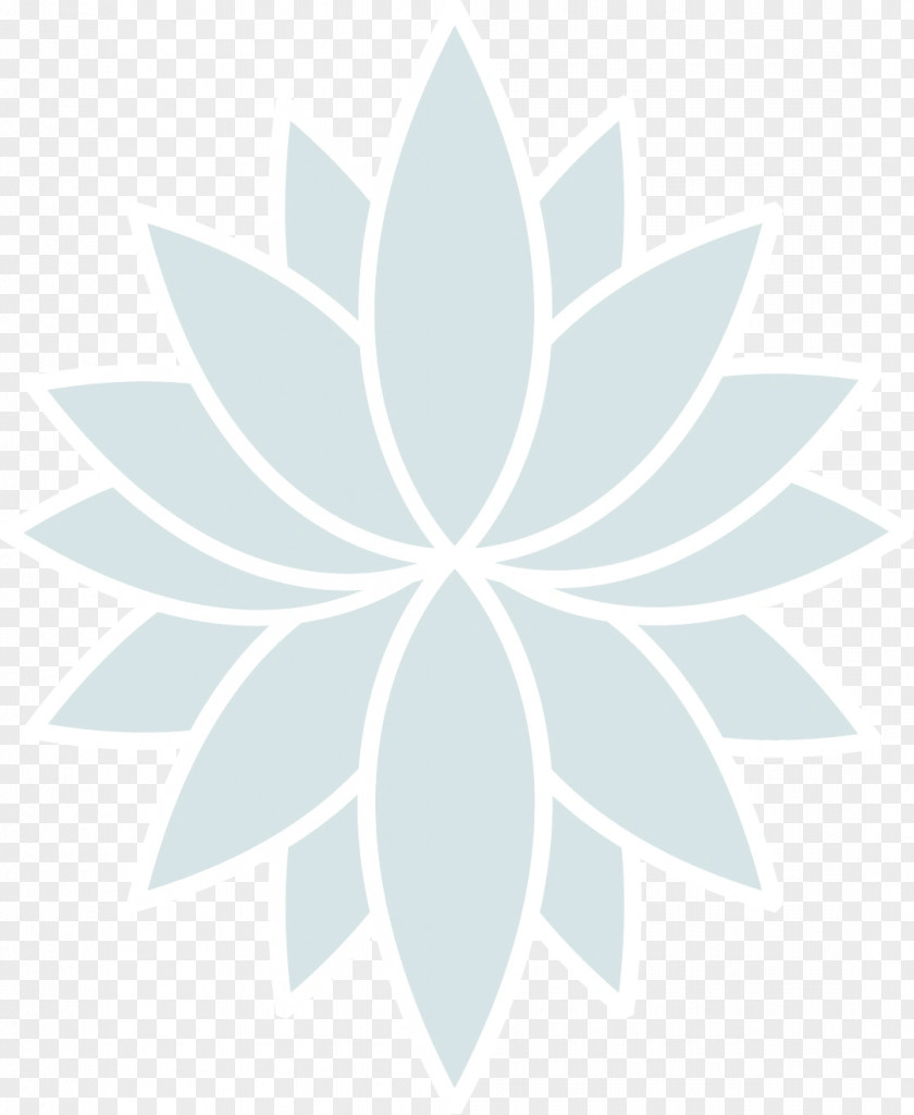 Symmetry Flower White PNG