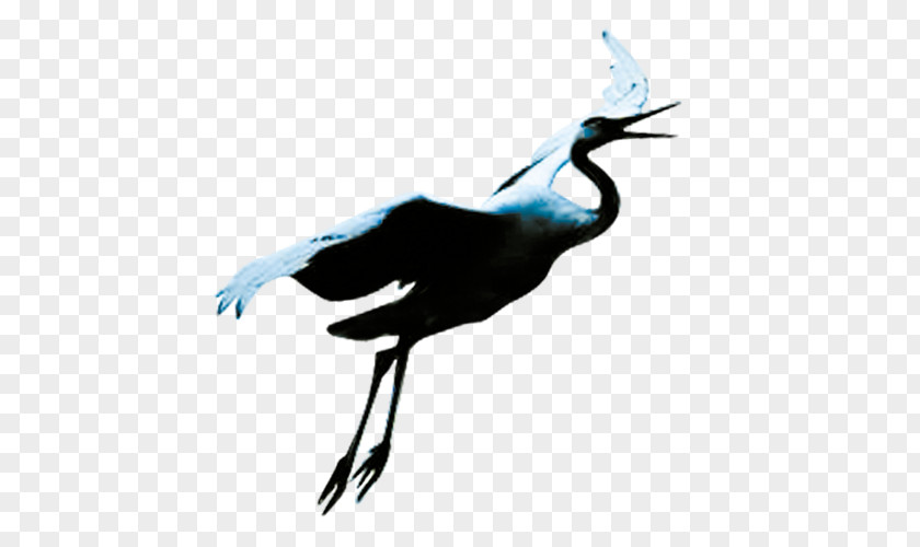 White Crane Bird Flight PNG