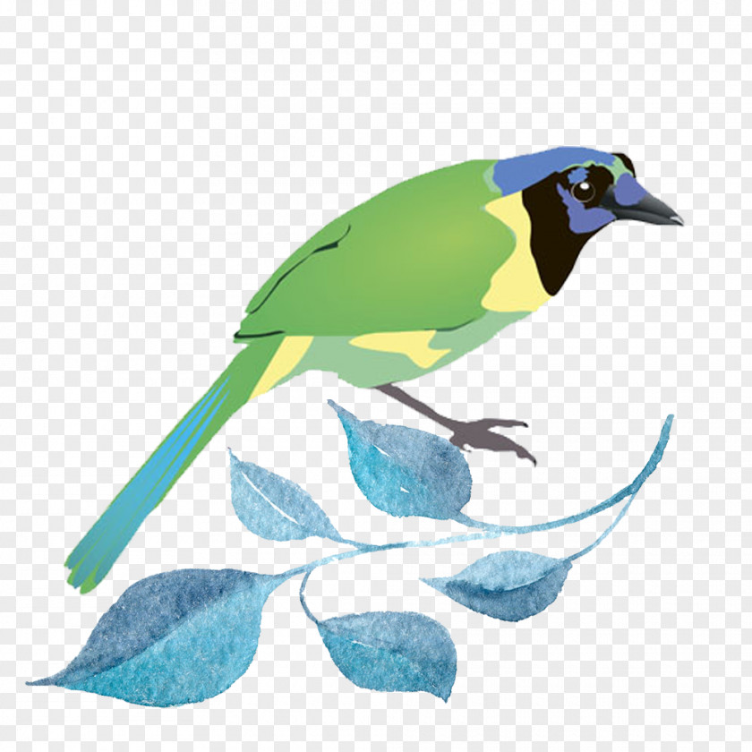 Green Birds Bird Illustration PNG