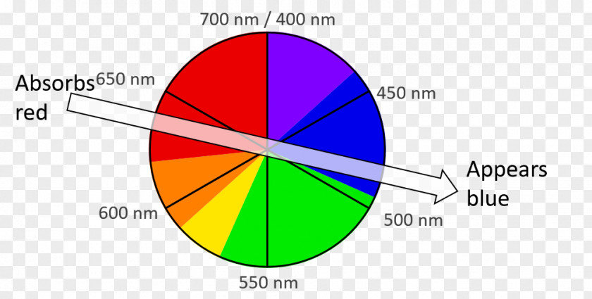 Light Color Wheel Wavelength Spectrum PNG
