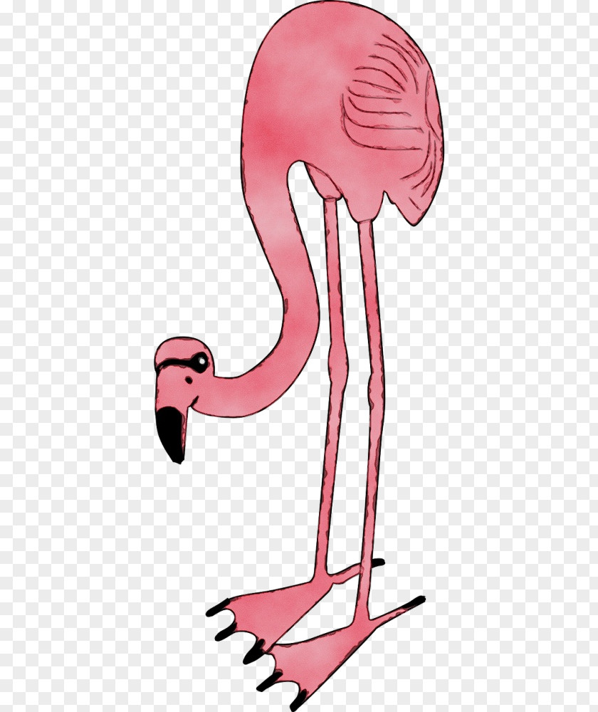 Neck Water Bird Muscle Pink M Cartoon Design Beak PNG