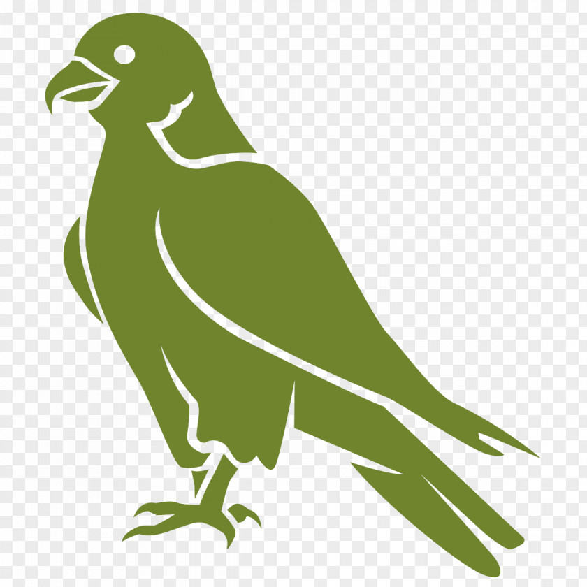 Peregrine Falcon Illustration Vector Graphics Royalty-free Euclidean Image PNG
