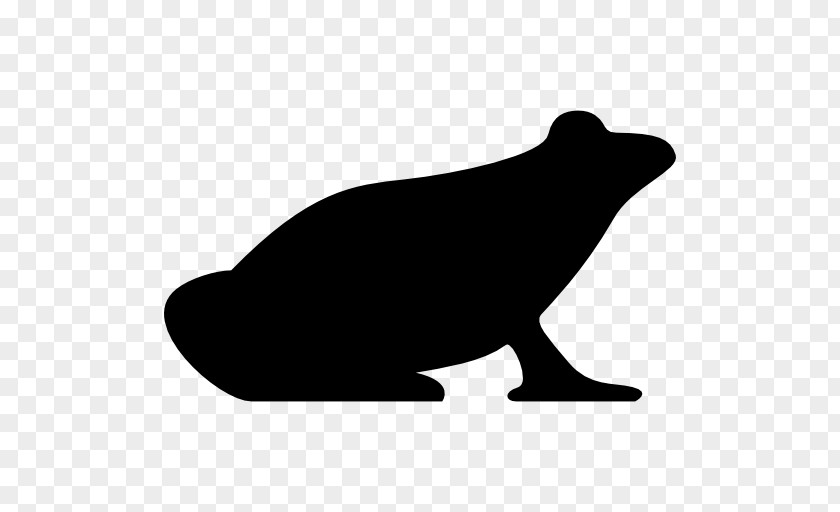Silhouette Sea Lion PNG