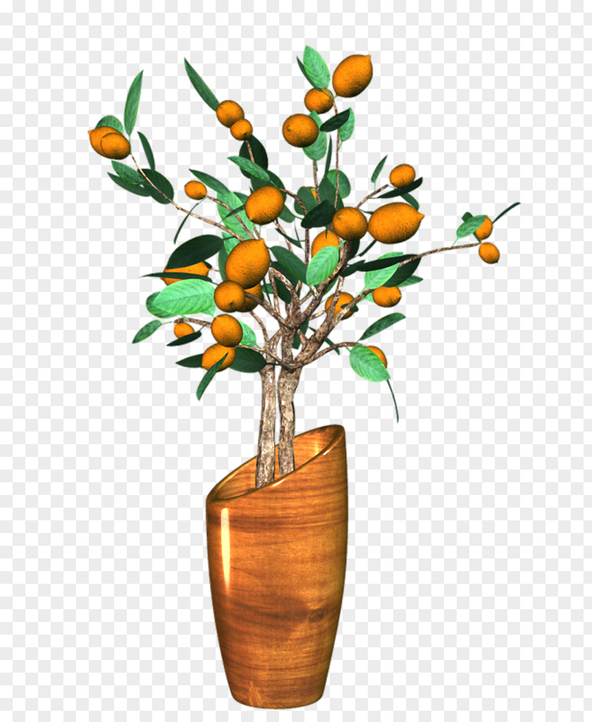 Vase Flowerpot Branch Ornamental Plant Bonsai PNG