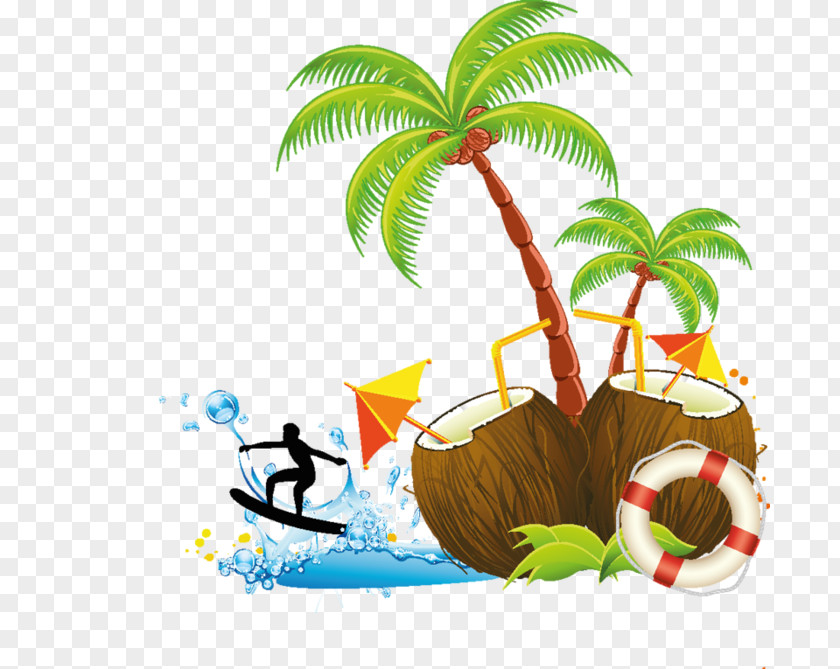 Coconut Clip Art PNG