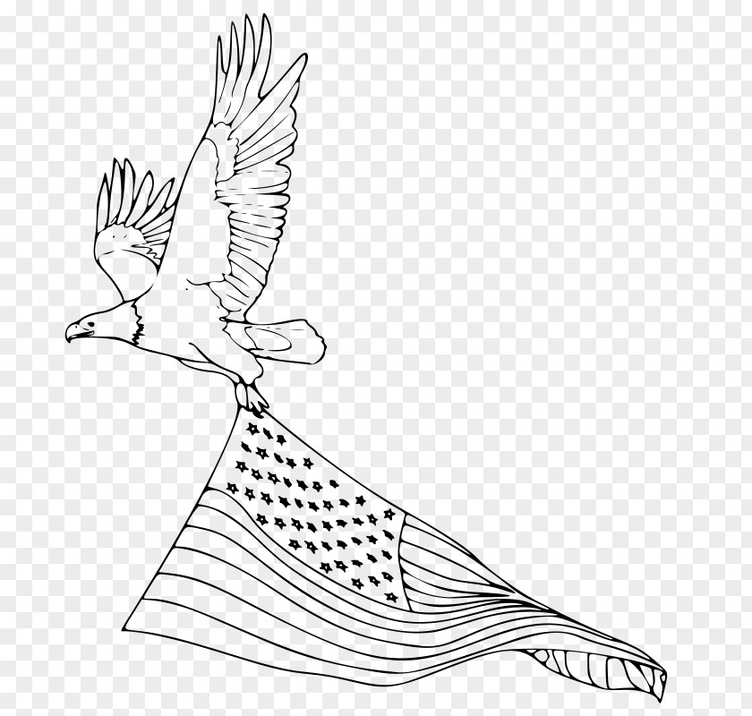 Eagle Bald Coloring Book United States PNG
