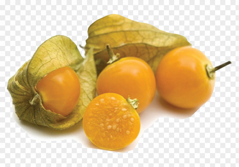 Highprotein Diet Clementine Peruvian Groundcherry Fruit Food Vegetable PNG