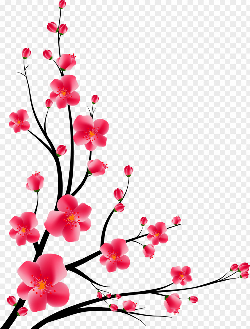 Peach Corner Decoration Download Adobe Illustrator PNG