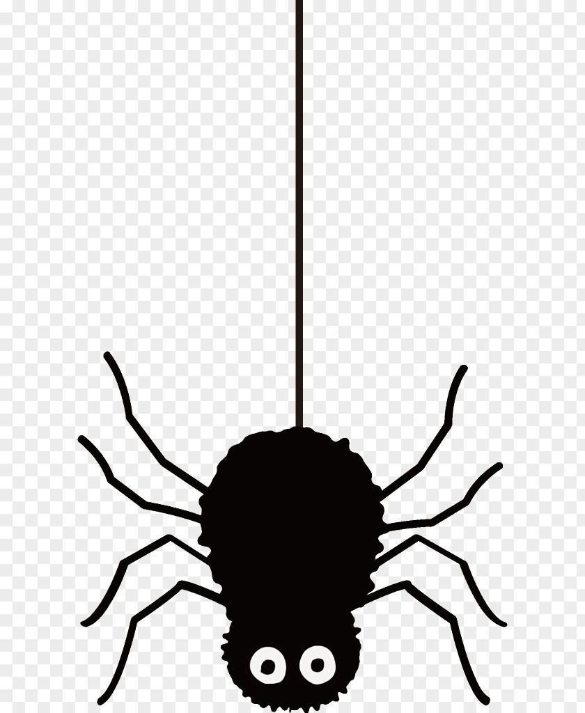 Pest Head Spider Halloween PNG