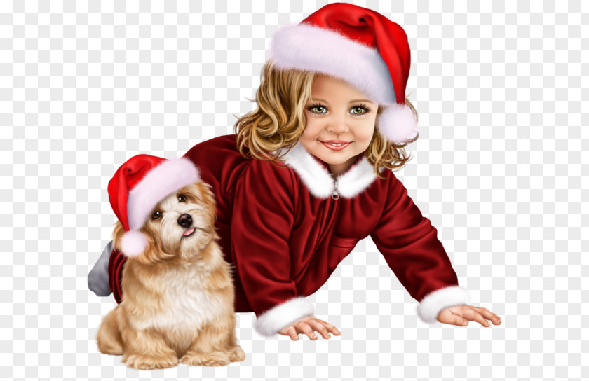 Toy Dog Havanese Christmas Santa Claus PNG