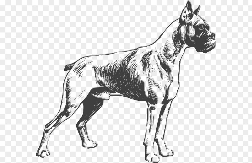Boxer Puppy Cliparts Bulldog Standard Schnauzer Purebred Dog PNG