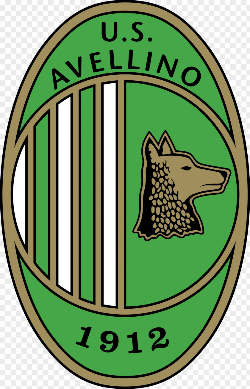 Football Calcio Avellino S.S.D. Logo Ternana PNG