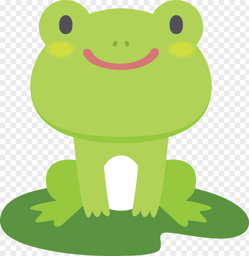 Green Frog Cartoon True Toad PNG