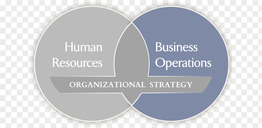 Human Organization Brand Logo Font Product PNG