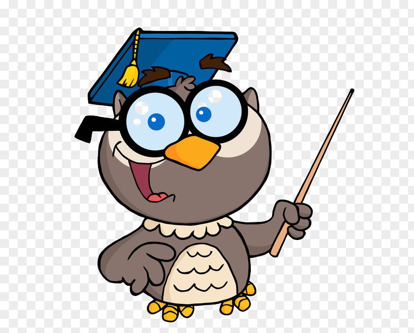 Penguin Flightless Bird Background Graduation PNG