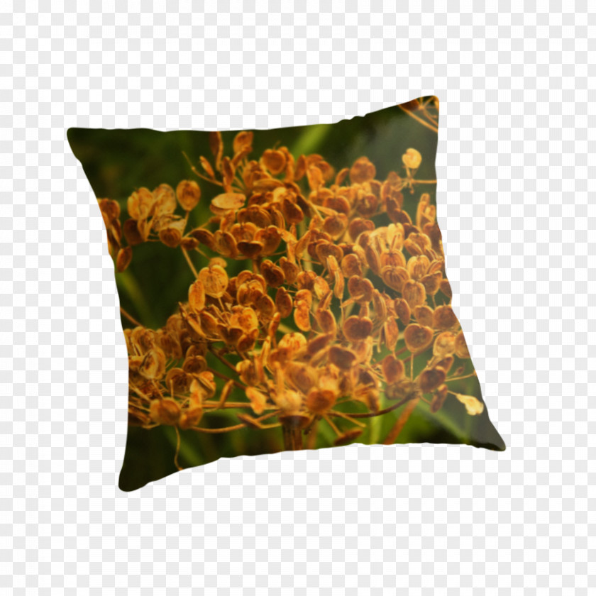 Pillow Throw Pillows Cushion PNG