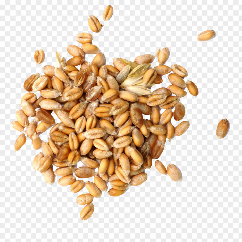 Wheat Grain Cereal Germ PNG