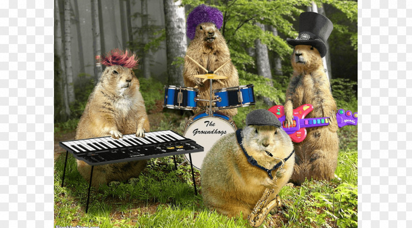 Birthday Punxsutawney Phil Groundhog Day PNG