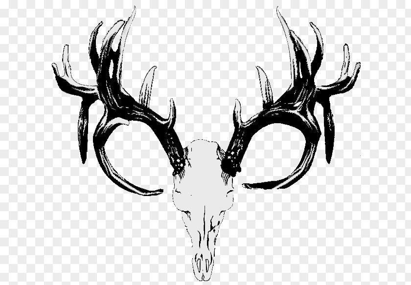 Deer Skull Red Hunting White-tailed PNG
