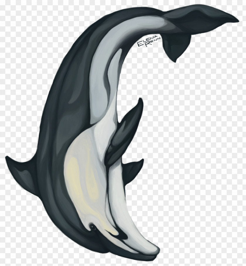 Dolphin Sticker Colored Pencil Cetacea Marine Mammal PNG