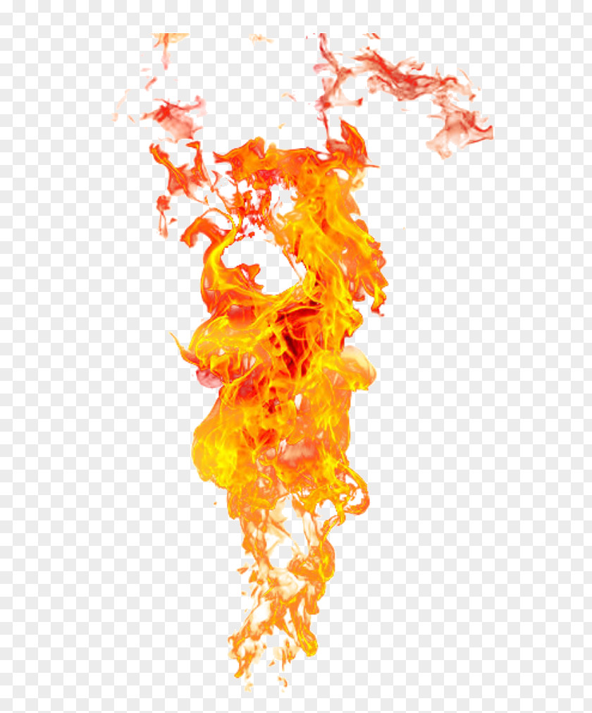 Flame Fire Light Clip Art PNG