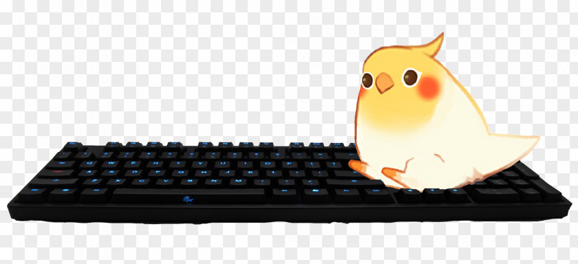 Go To Bed Bird Laptop PNG