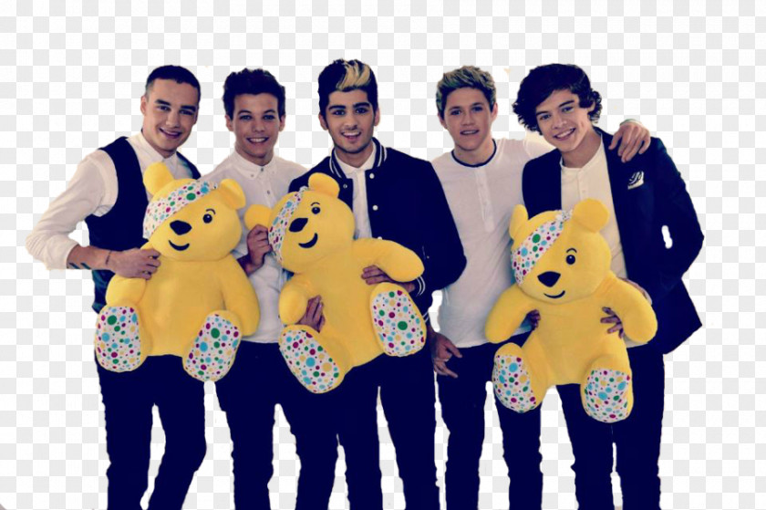 One Direction Ashleigh And Pudsey Boy Band Little Things PNG