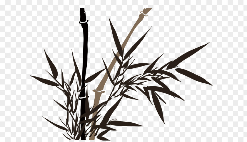 Painting Bamboo Ink Wash Drawing PNG