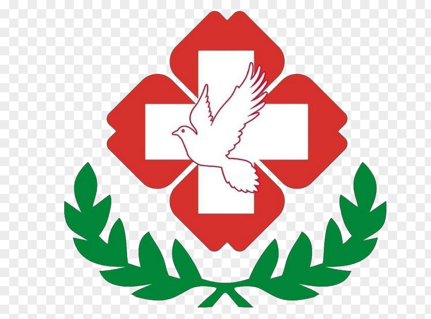 Red Cross Logo Hospital Icon PNG