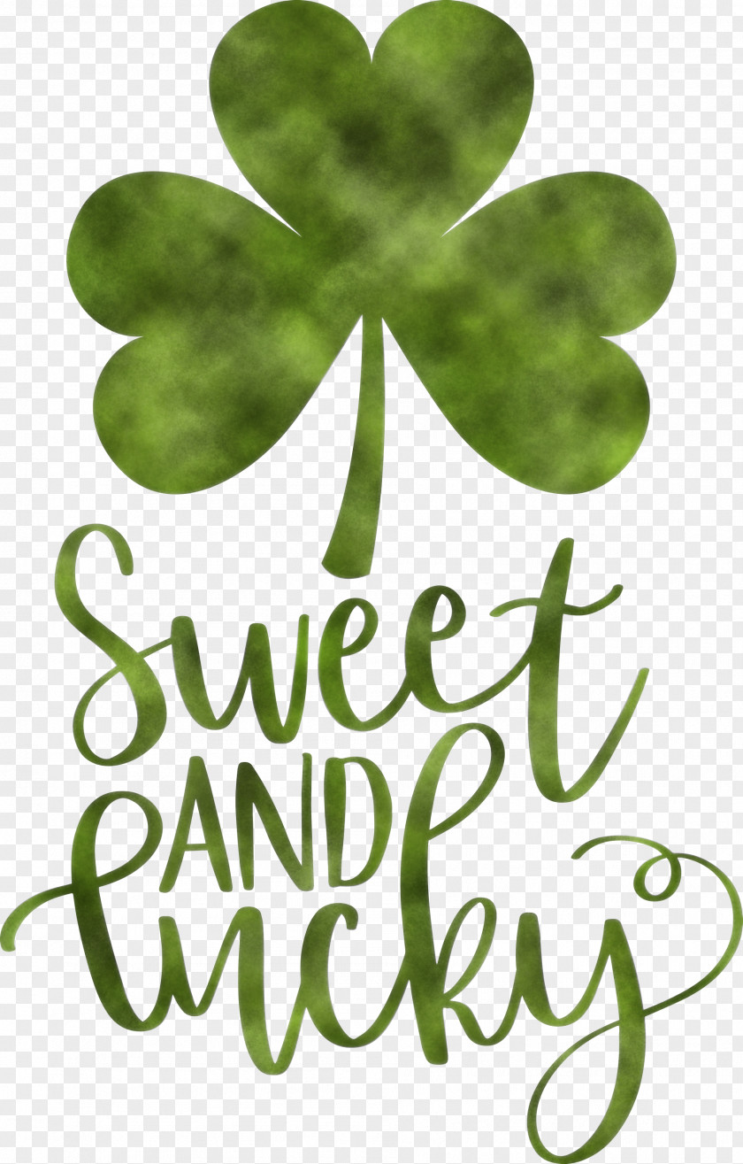 Sweet And Lucky St Patricks Day PNG