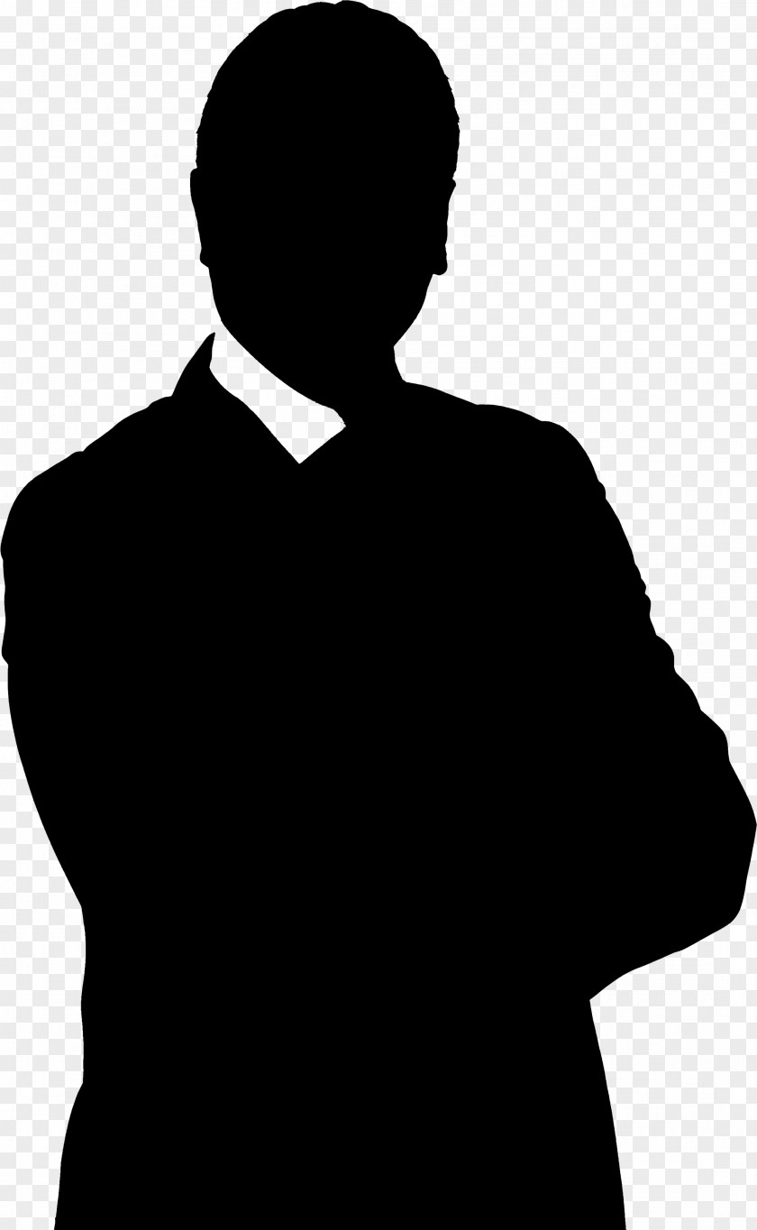 Vector Graphics Businessperson Photograph Image Illustration PNG