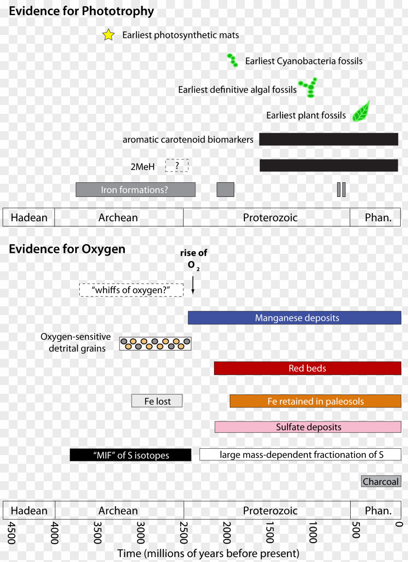 Computer Web Page Program Screenshot Line PNG