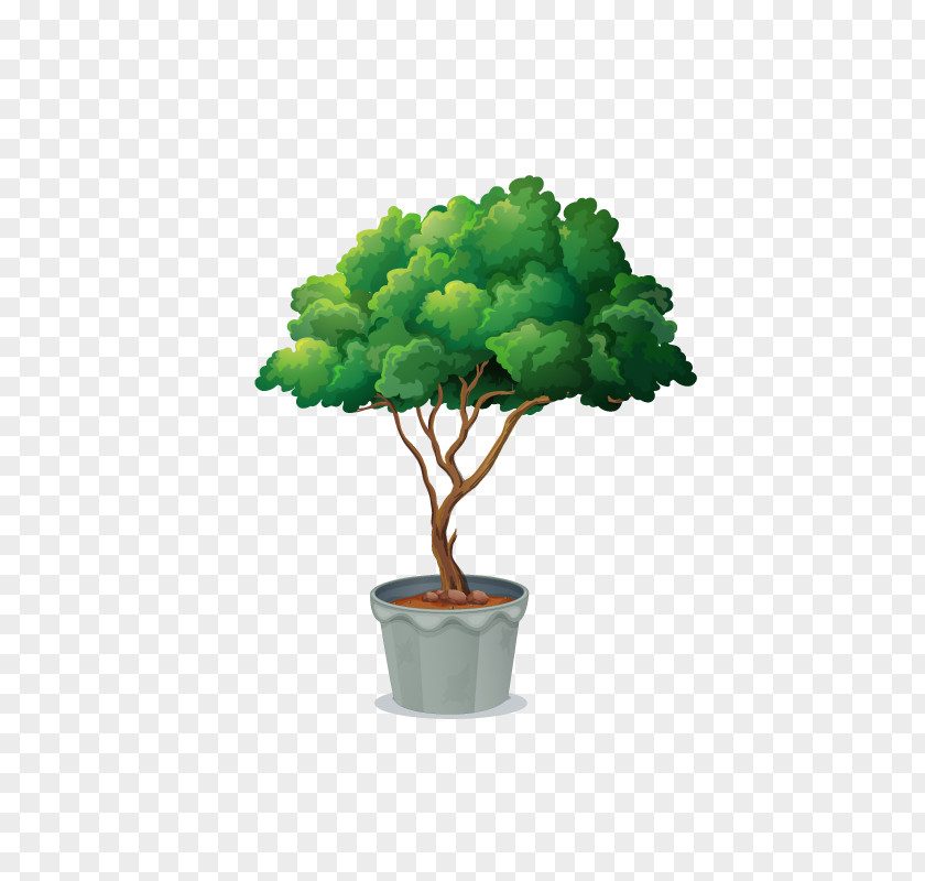 Large Cartoon Tree Clip Art Vector Graphics Borders And Frames Stock Illustration Royalty-free PNG