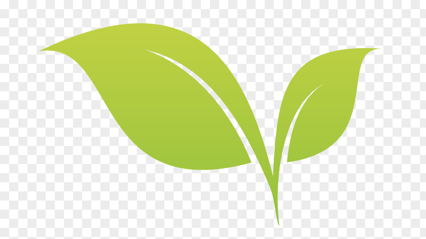 Leaf Desktop Wallpaper Plant Stem Tree PNG