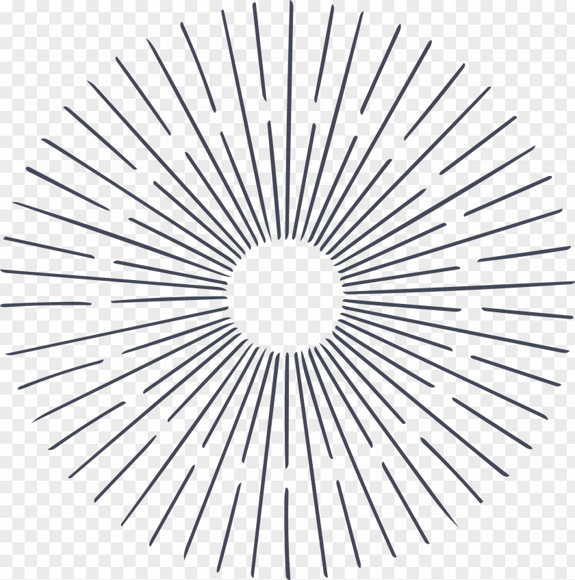 Radial Circle Vector Pattern Illustration PNG