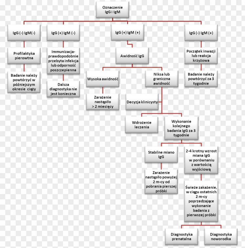 Rubella Scabies Spuckler Virus Immunoglobulin G M PNG