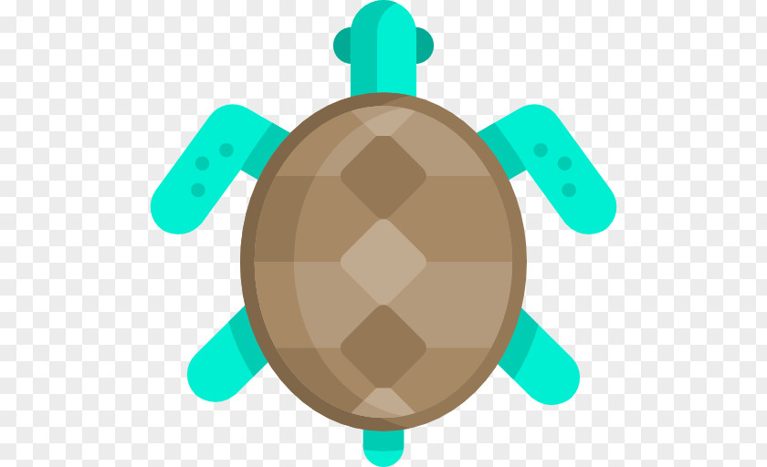 Turtle Tortoise Sea PNG