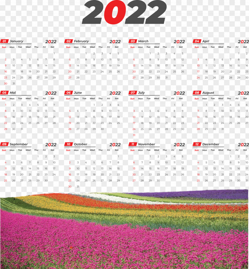 2022 Printable Yearly Calendar 2022 Calendar PNG