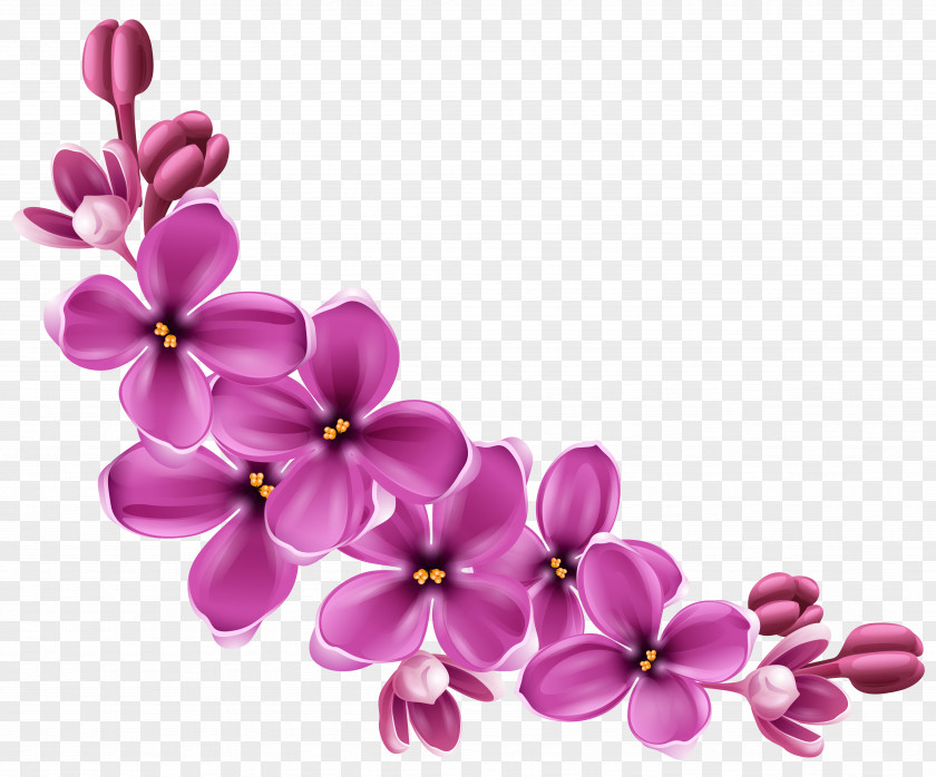 Flowers 9 Flower Clip Art PNG
