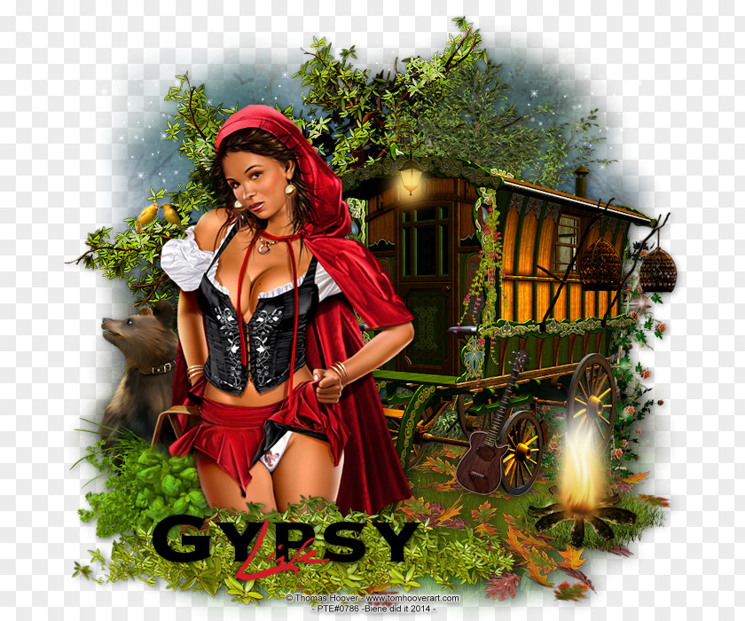 Gypsy .cz .at User Google Images PNG