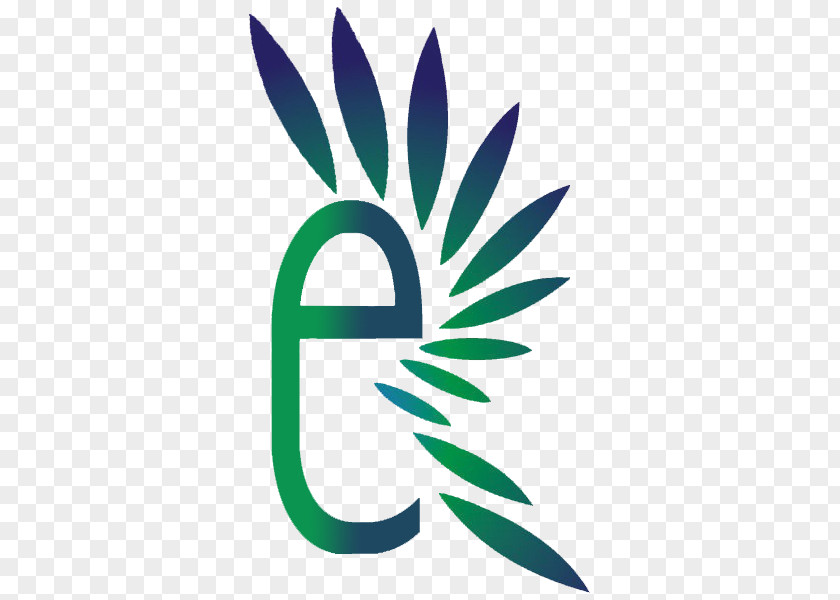 Leaf Drumstick Tree Logo Food Radhe Exports PNG