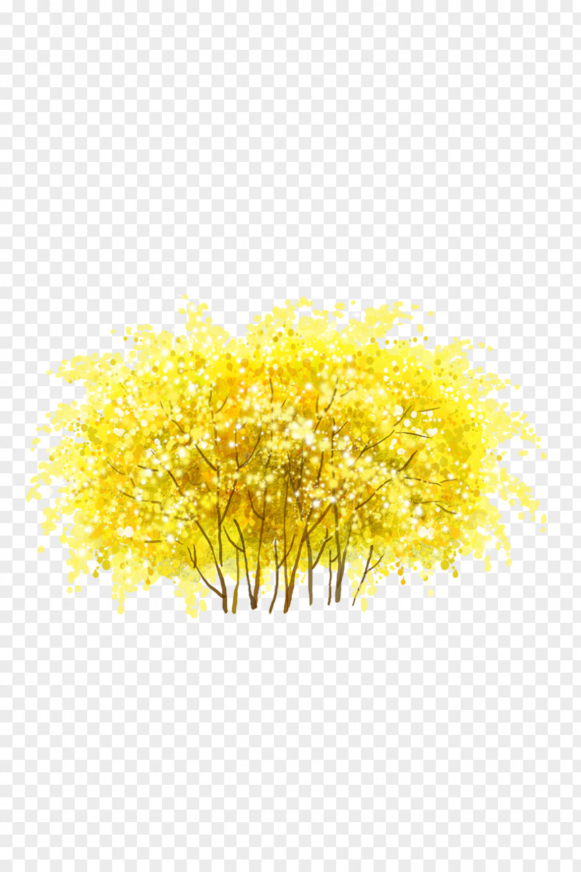 Yellow Woods Shulin District Wood PNG