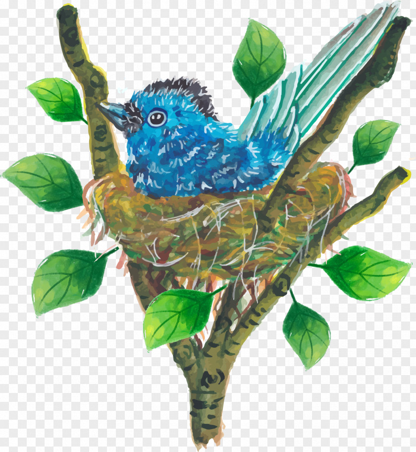 Branches On The Nest Bird Passerine Euclidean Vector PNG
