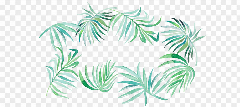 Coconut Leave Plant Stem Leaf Flower PNG