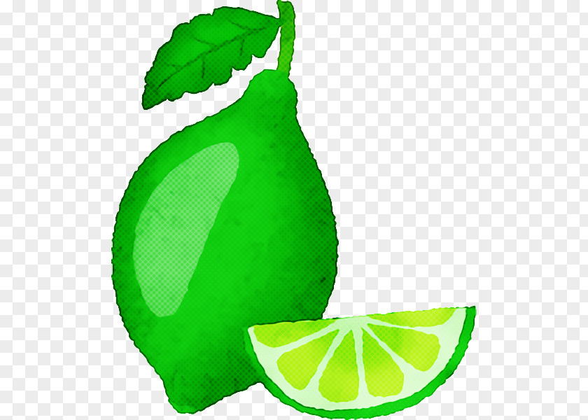 Lime Persian Lemon-lime Drink Citric Acid Leaf PNG