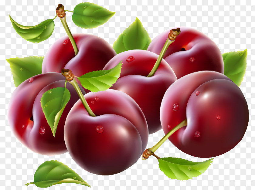 Prunes Clipart Image Cherry Fruit Clip Art PNG