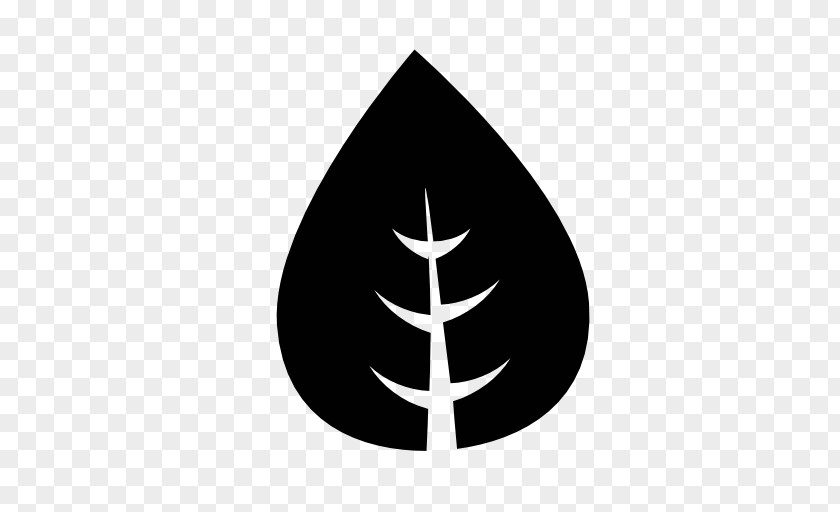 Symbol Leaf PNG