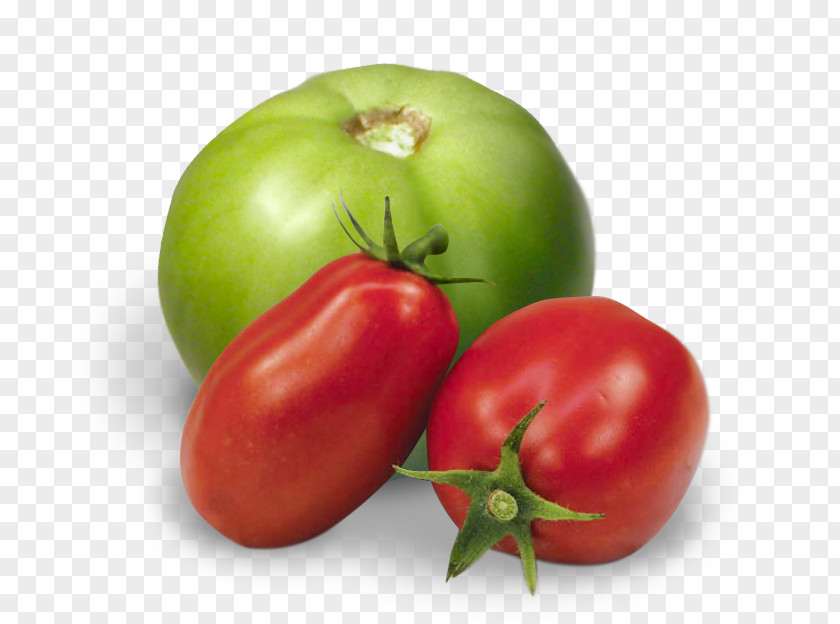 Tomato Juice Plum Roma Food Fried Green Tomatoes Bush PNG